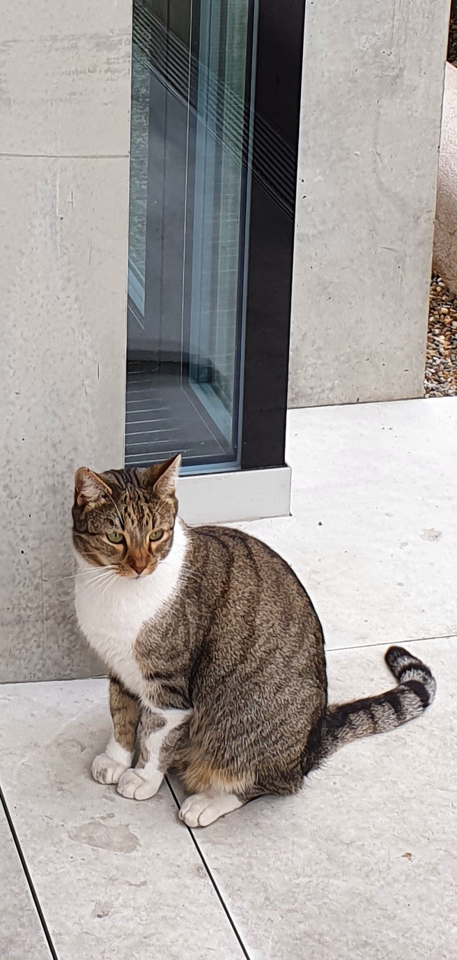 20200605 101624 resized