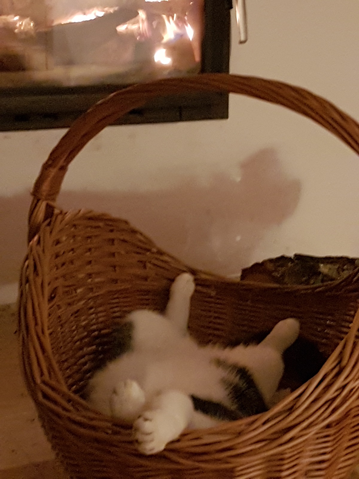 017eb705 3896 4500 b4e0 15821008fda7