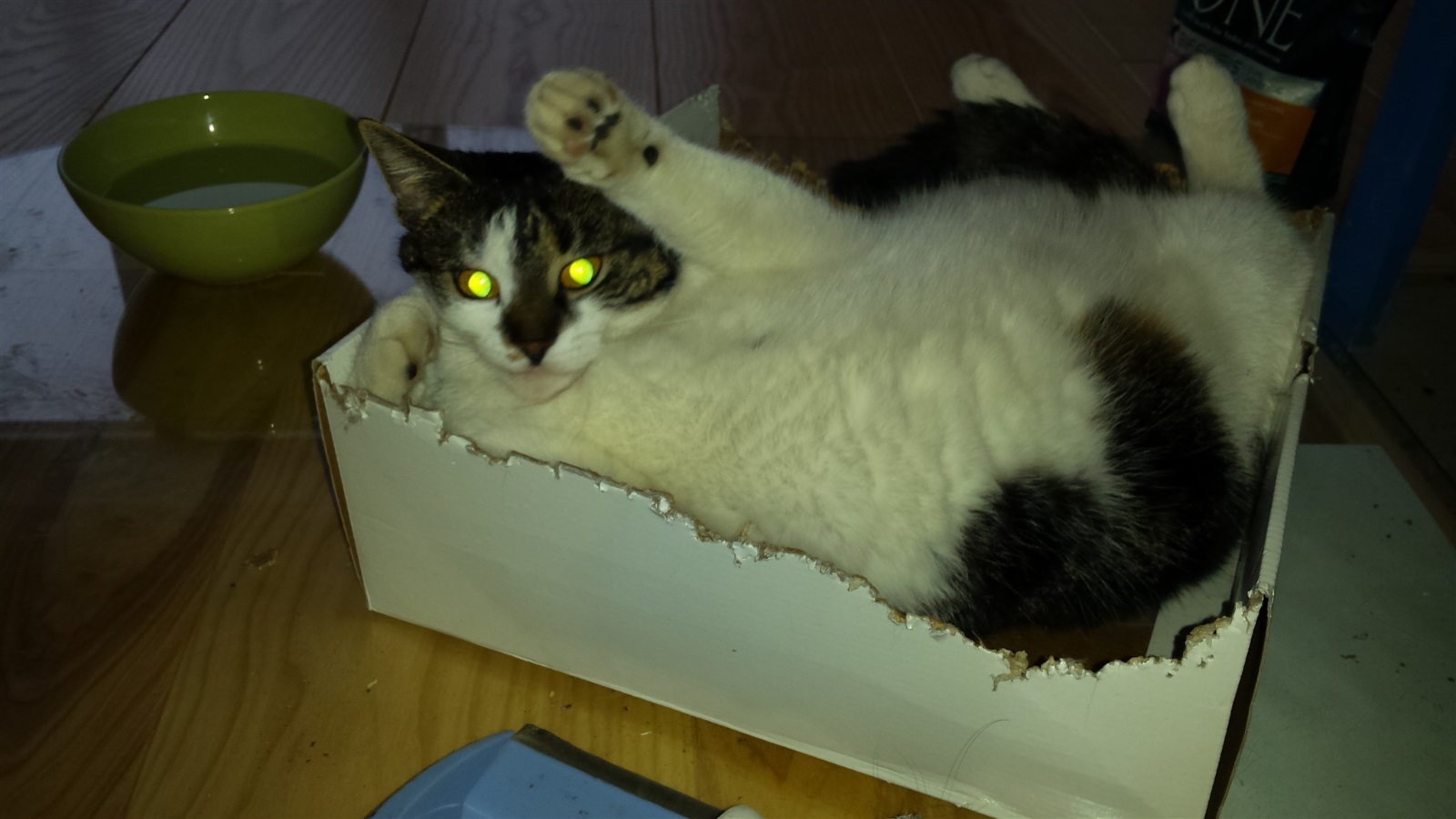 20170116 083007 20170116 221956