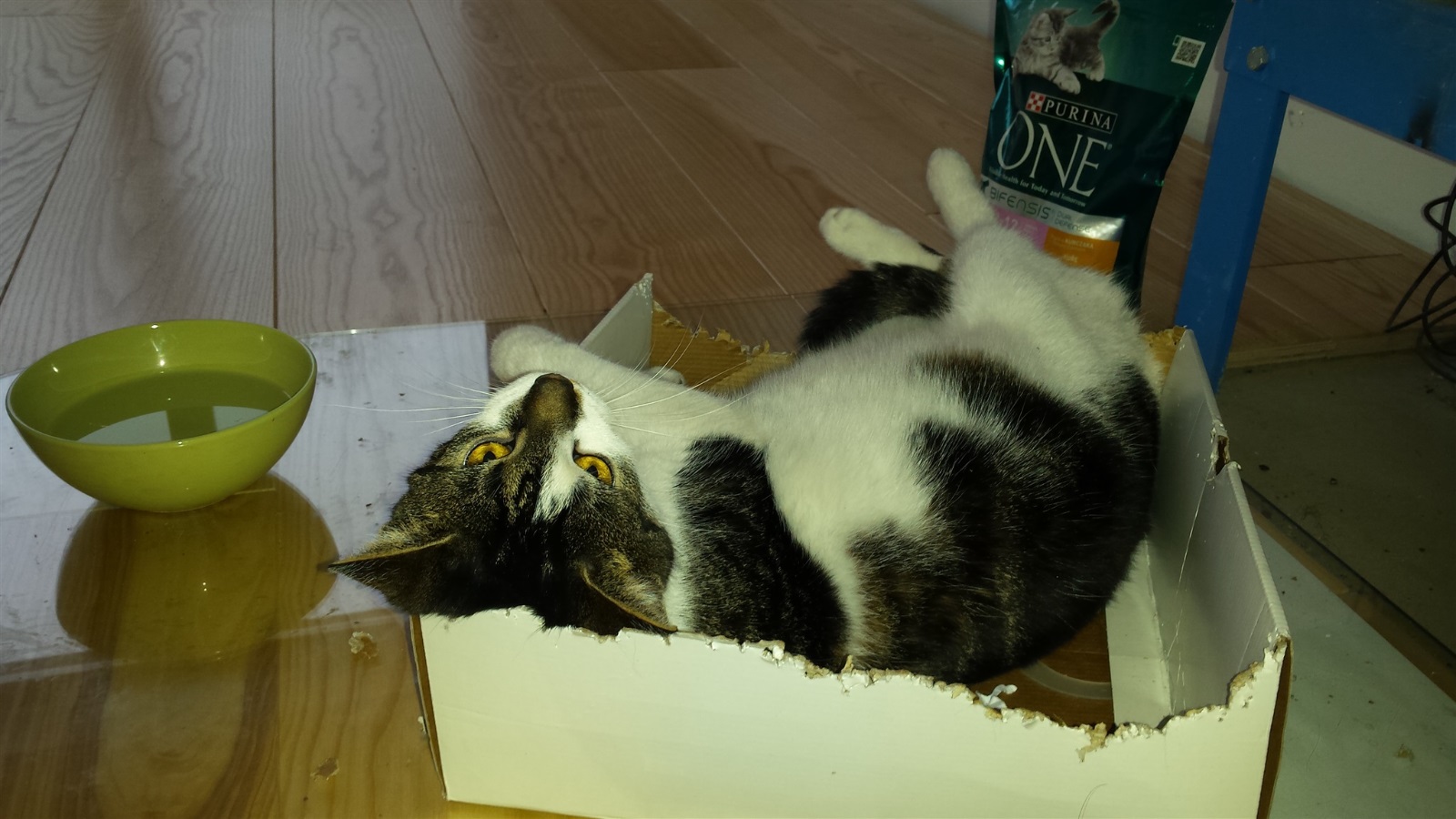 20170116 083024 20170116 222001