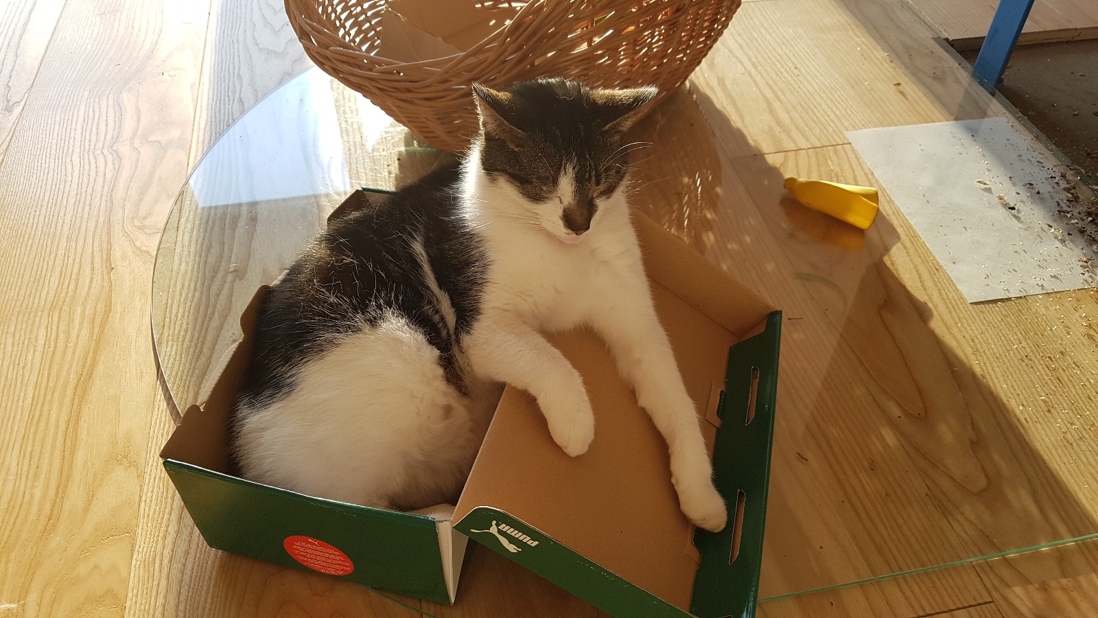 20170402 073527 012 01